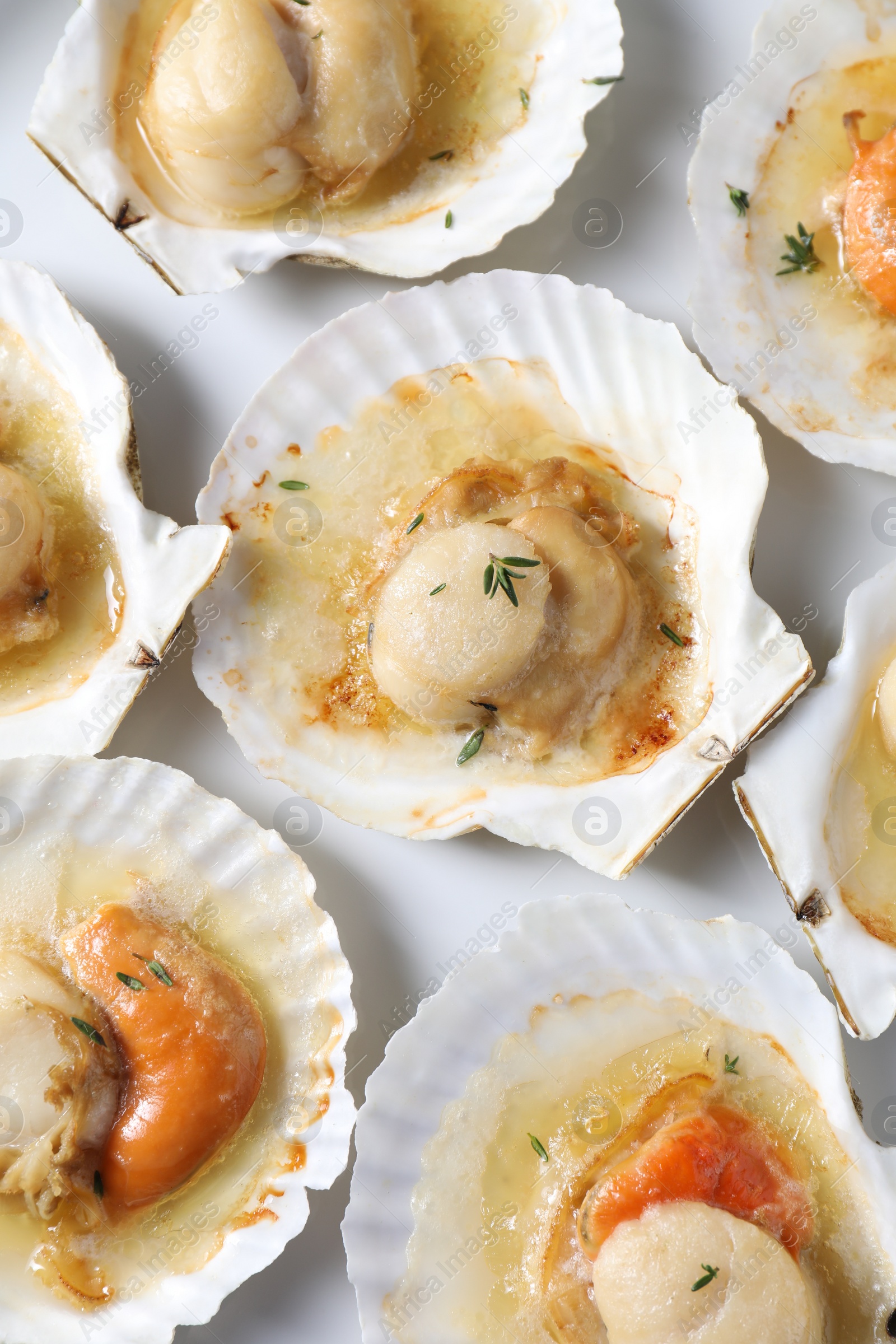 Photo of Fried scallops in shells on plate, top view