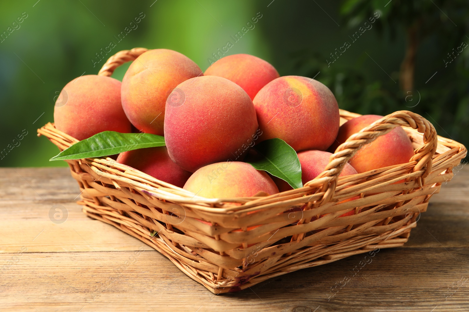 Photo of Fresh peaches and leaves in basket on wooden table against blurred green background, closeup