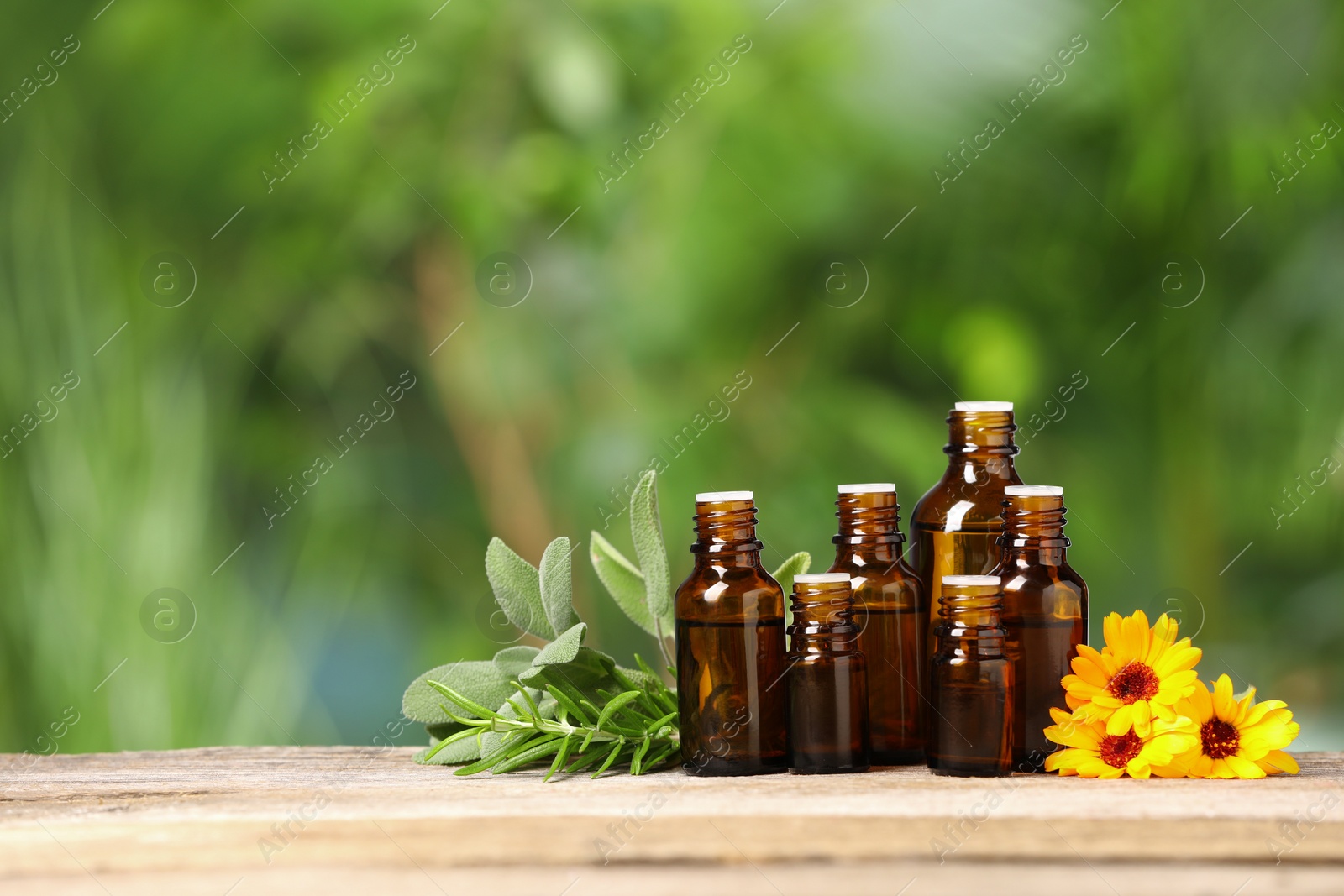 Photo of Bottles with essential oils, herbs and flowers on wooden table against blurred green background. Space for text