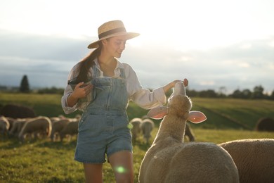 Photo of Smiling woman with bucket feeding sheep on pasture at farm