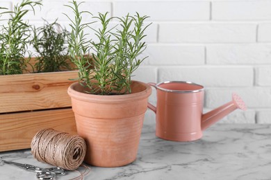 Beautiful green rosemary and watering can on white marble table near brick wall