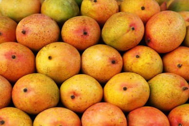 Pile of delicious ripe yellow mangoes, closeup