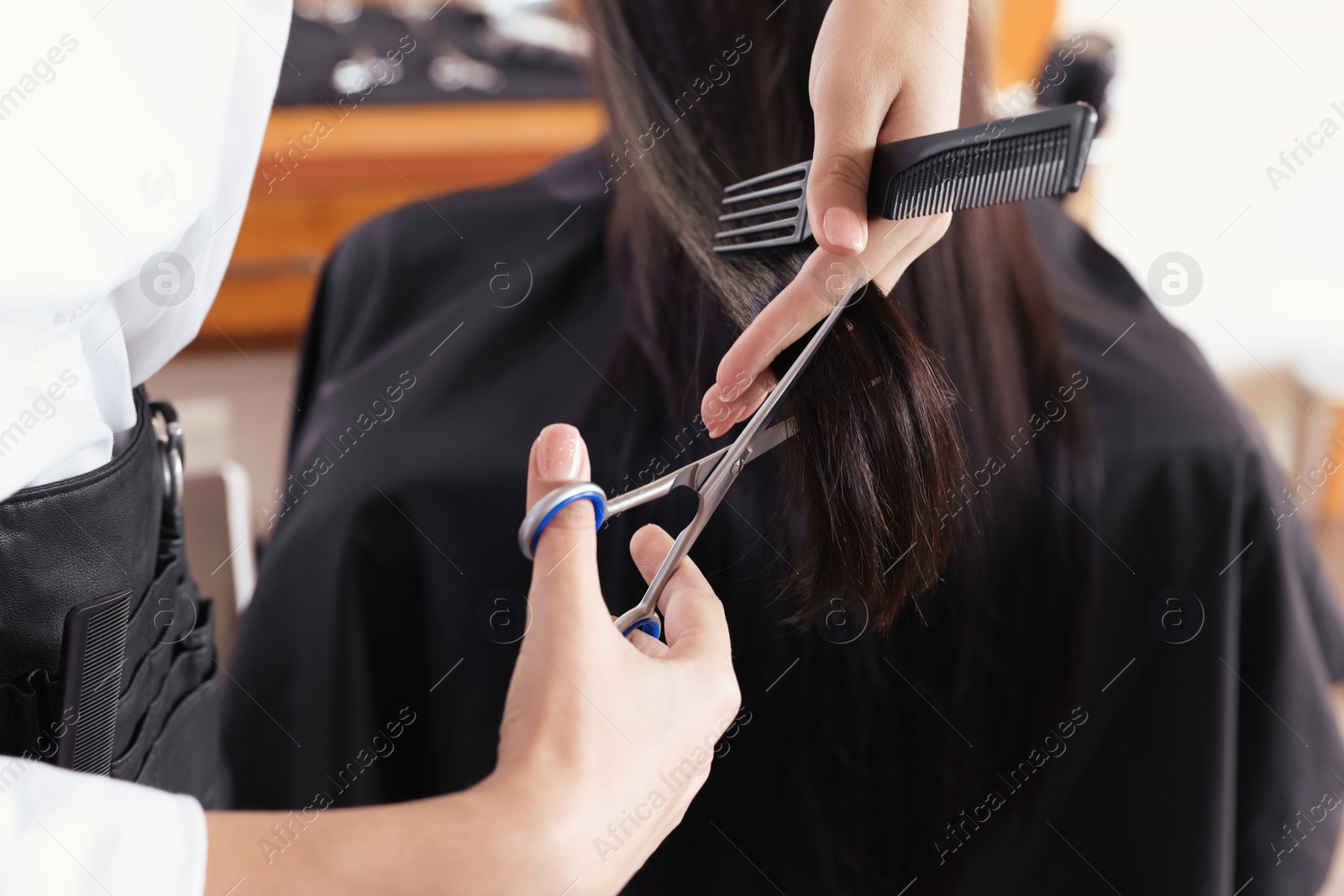 Photo of Professional hairdresser cutting woman's hair in beauty salon, closeup