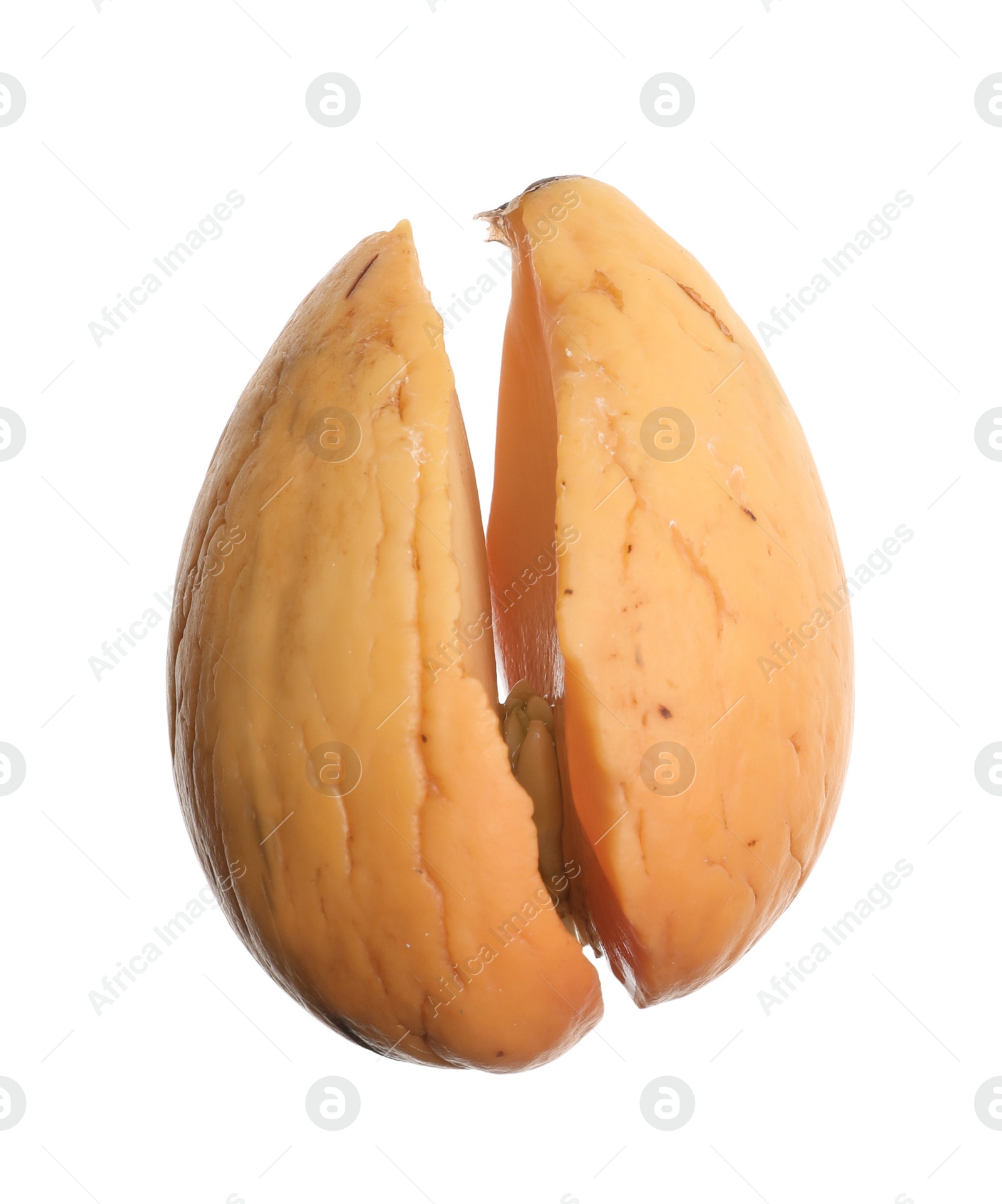 Photo of Avocado pit with young sprout on white background