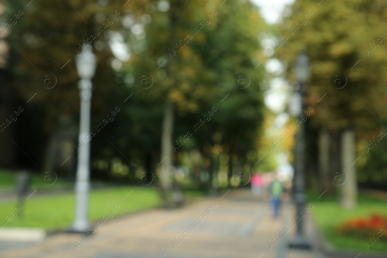 Photo of Blurred view of quiet park on sunny day