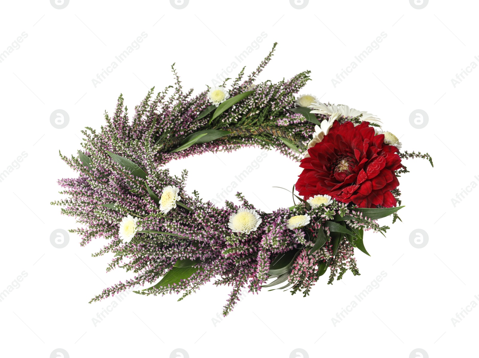 Photo of Beautiful autumnal wreath with heather flowers isolated on white