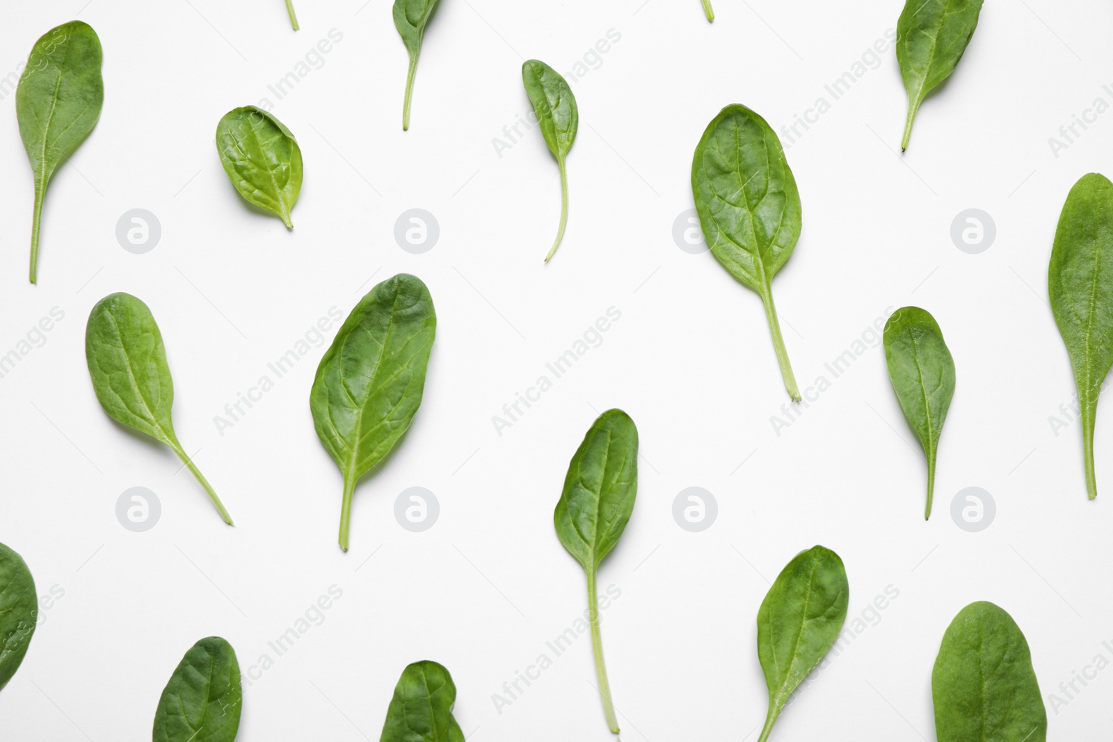 Photo of Fresh green healthy spinach on white background, top view