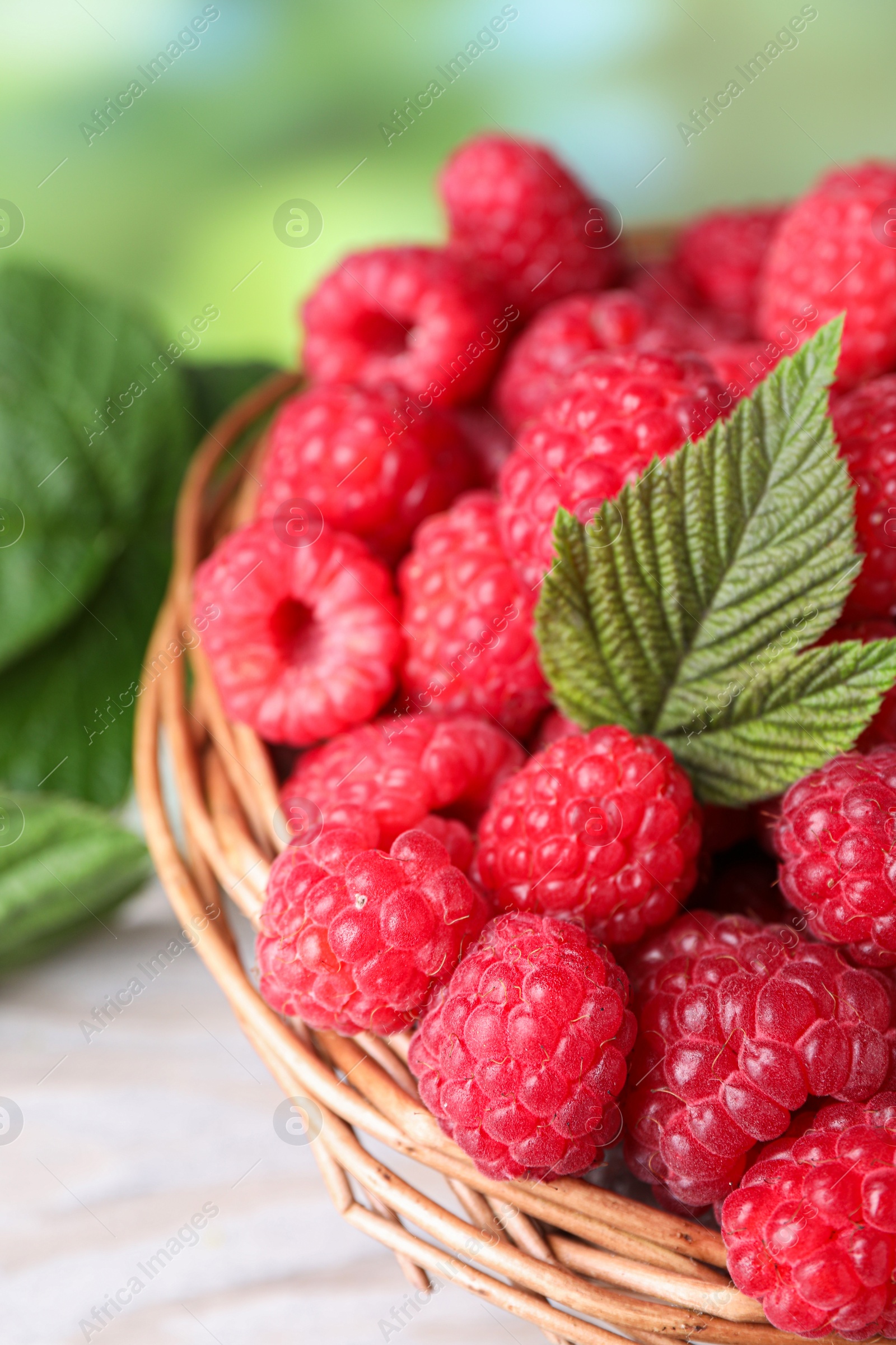 Photo of Tasty ripe raspberries and green leaf in basket on light table, closeup