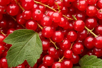 Delicious ripe red currants and green leaves as background, top view