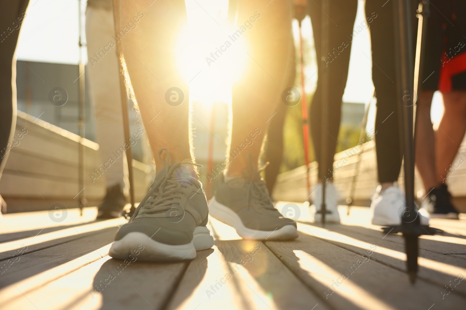 Photo of Group of people practicing Nordic walking with poles outdoors on sunny day, closeup