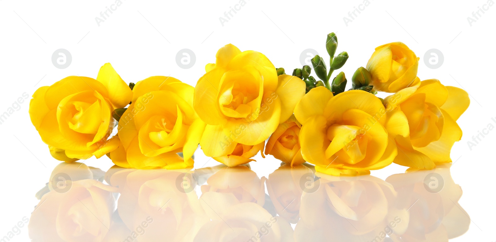 Photo of Bouquet of fresh freesia flowers isolated on white