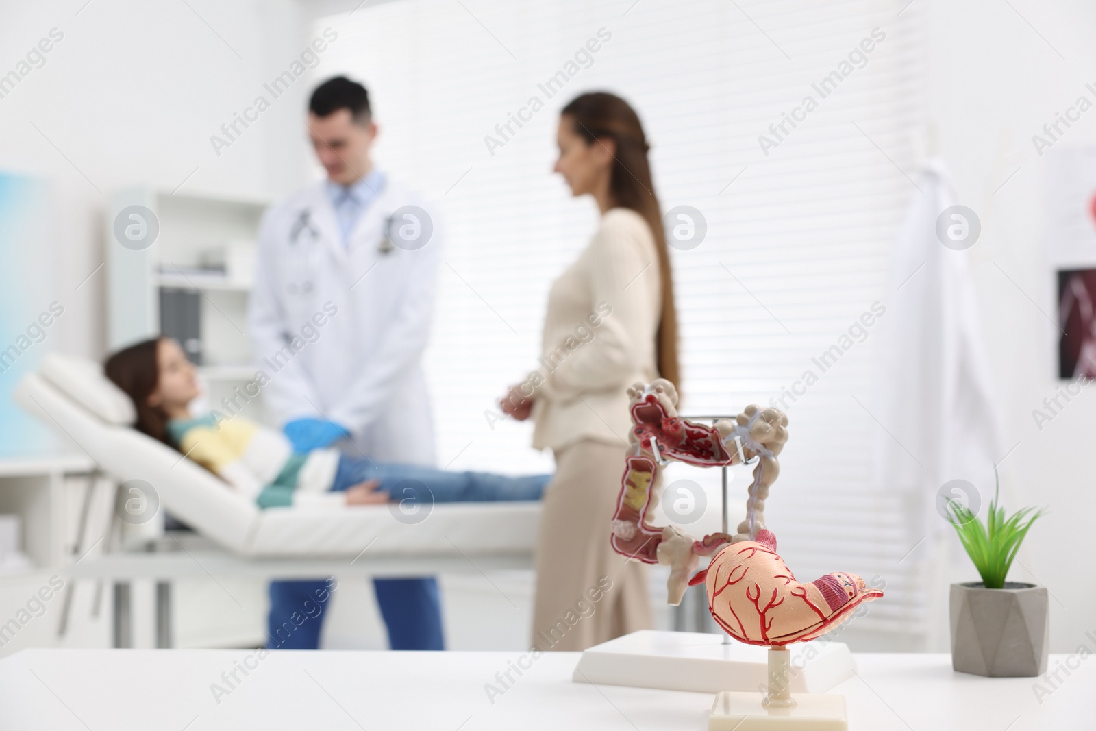 Photo of Gastroenterologist examining girl in clinic, focus on models of stomach and intestine on white table