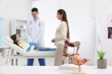 Photo of Gastroenterologist examining girl in clinic, focus on models of stomach and intestine on white table