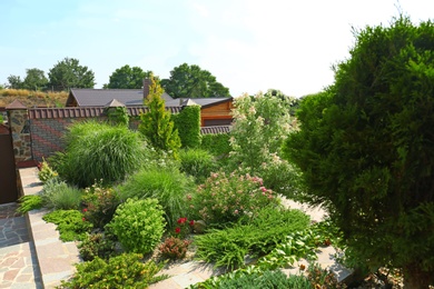 Photo of Picturesque landscape with beautiful green garden on sunny day