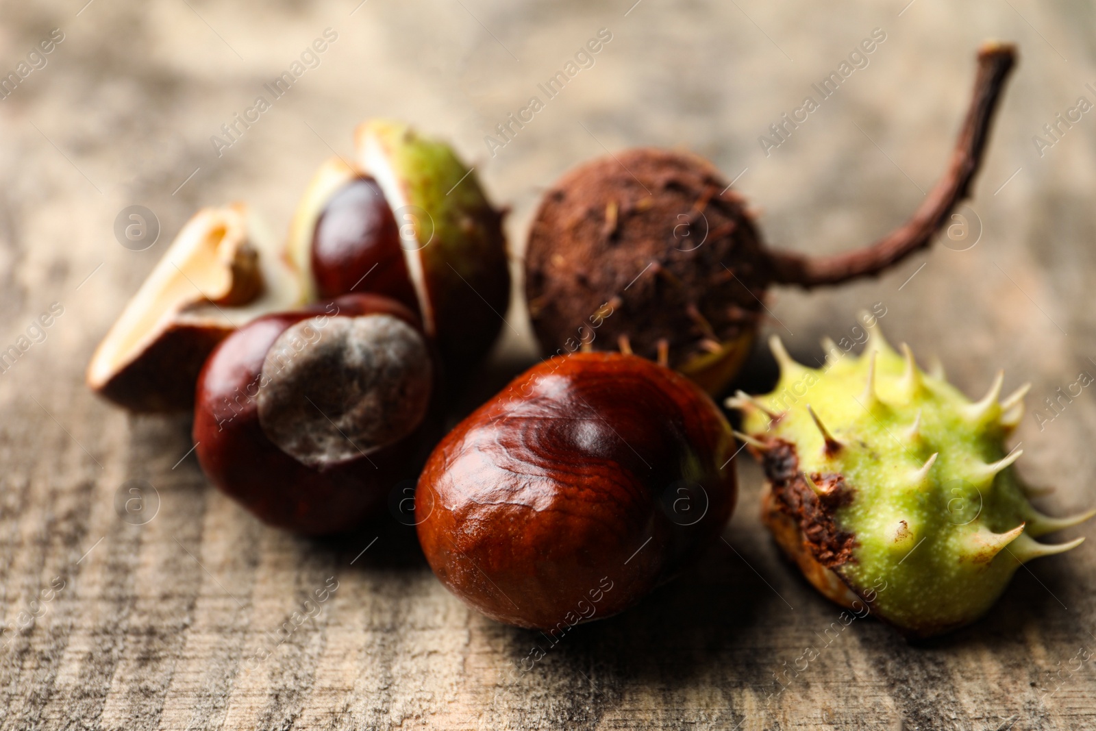 Photo of Horse chestnuts on wooden table, closeup view