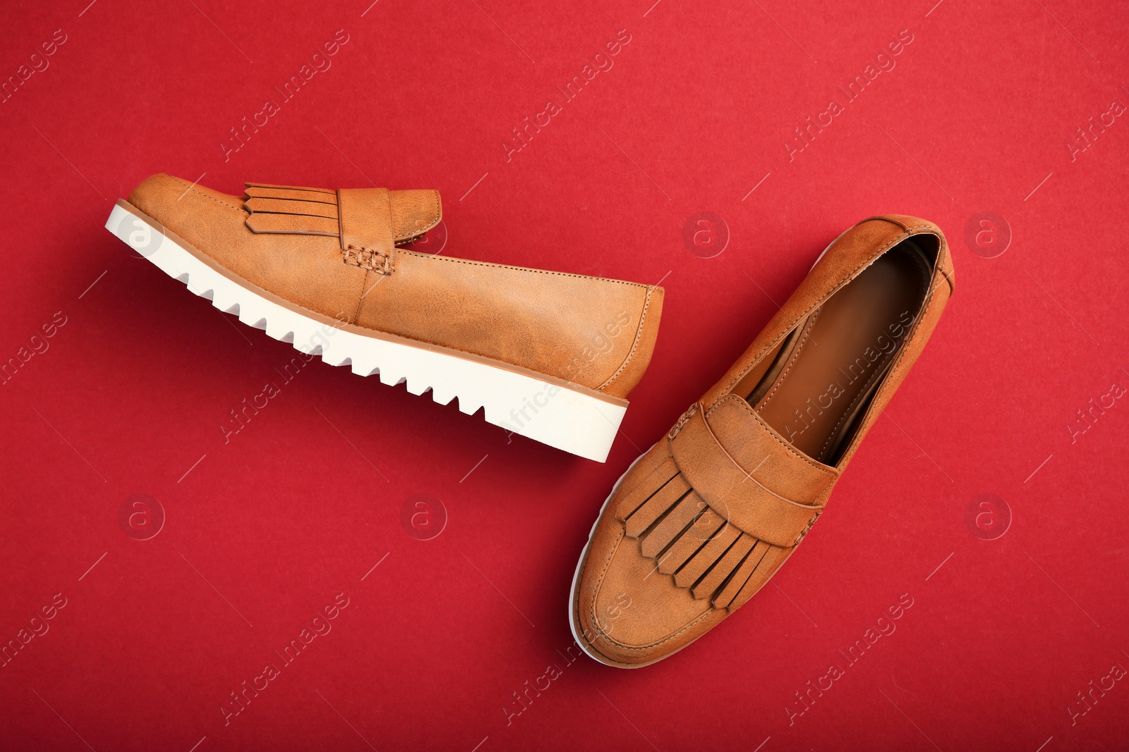 Photo of Pair of female shoes on color background