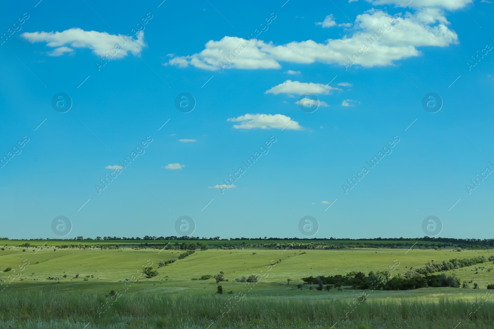 Photo of Beautiful landscape with green grass on sunny day