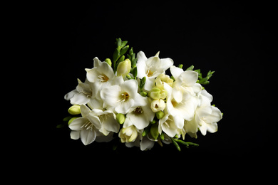 Photo of Beautiful white freesia flowers on black background