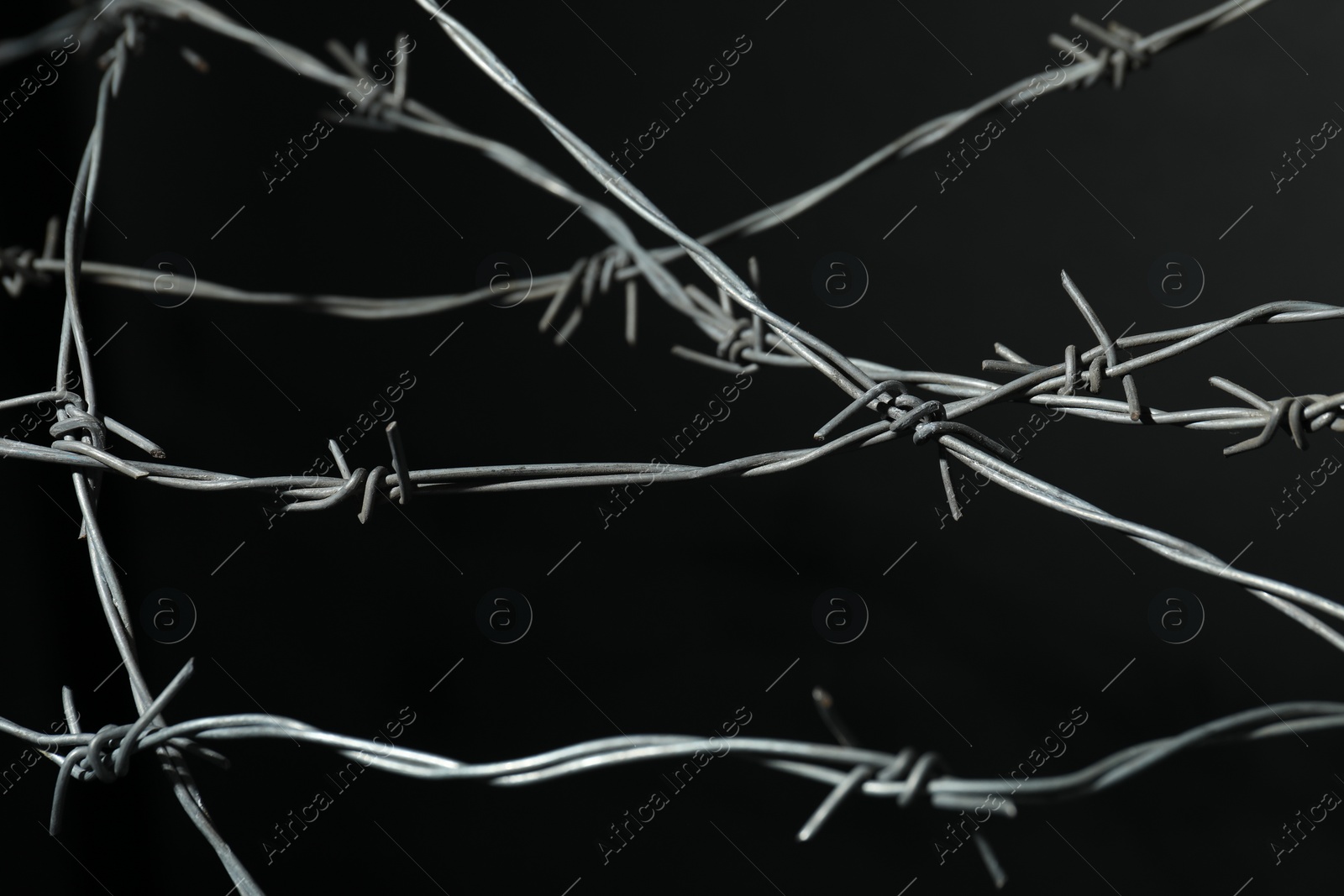 Photo of Metal barbed wire on black background, closeup