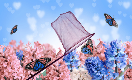 Image of Bright net and fragile monarch butterflies in flower garden