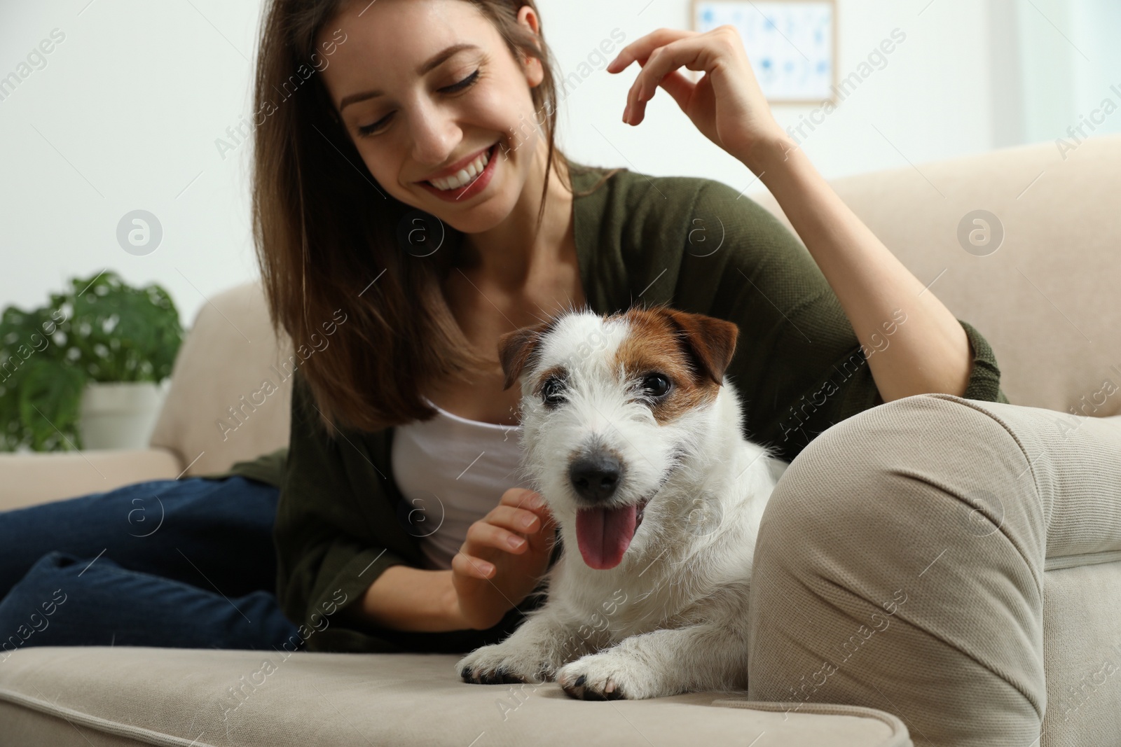 Photo of Young woman with her cute Jack Russell Terrier on sofa at home. Lovely pet