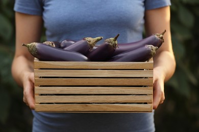 Woman holding wooden crate with ripe eggplants on blurred green background, closeup