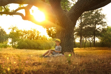 Cute little boy reading book near tree in park