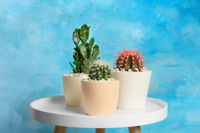 Beautiful cacti on table against color background