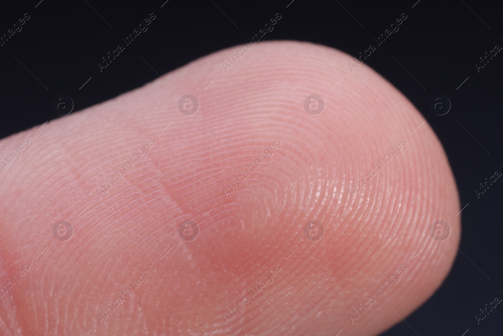 Photo of Finger with friction ridges on dark background, macro view