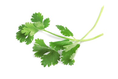 Photo of Fresh green coriander leaves on white background, top view