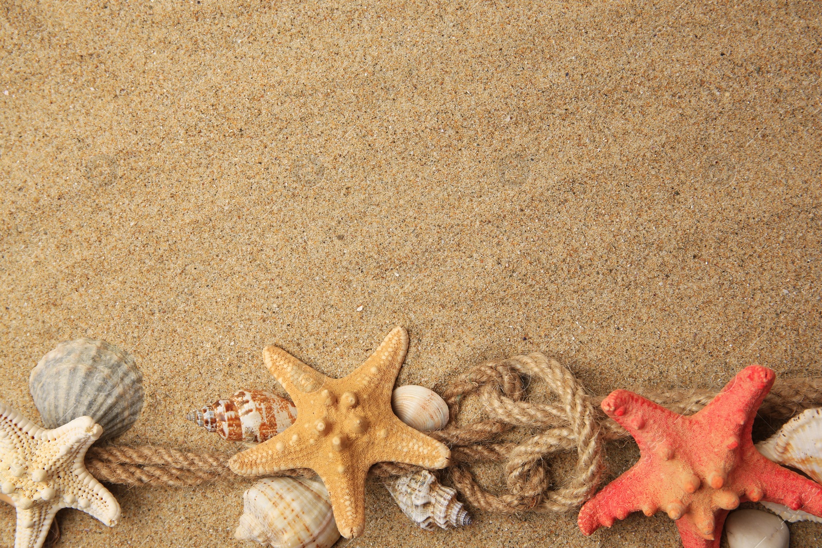 Photo of Beautiful sea stars, shells and ropes on sand, flat lay. Space for text