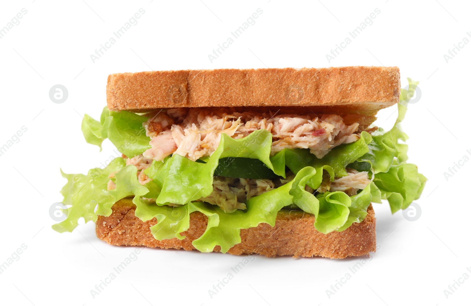 Photo of Delicious sandwich with tuna, lettuce leaves and cucumber on white background