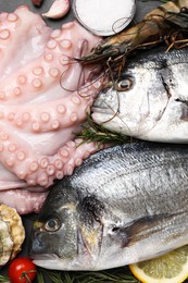 Photo of Flat lay composition with fresh raw dorado fish and different seafood on black table