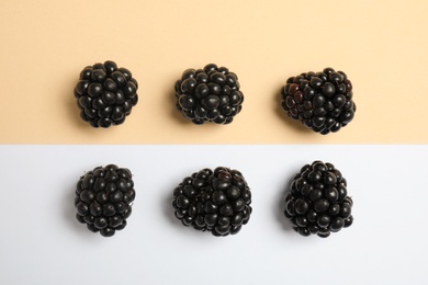 Flat lay composition with ripe blackberries on color background