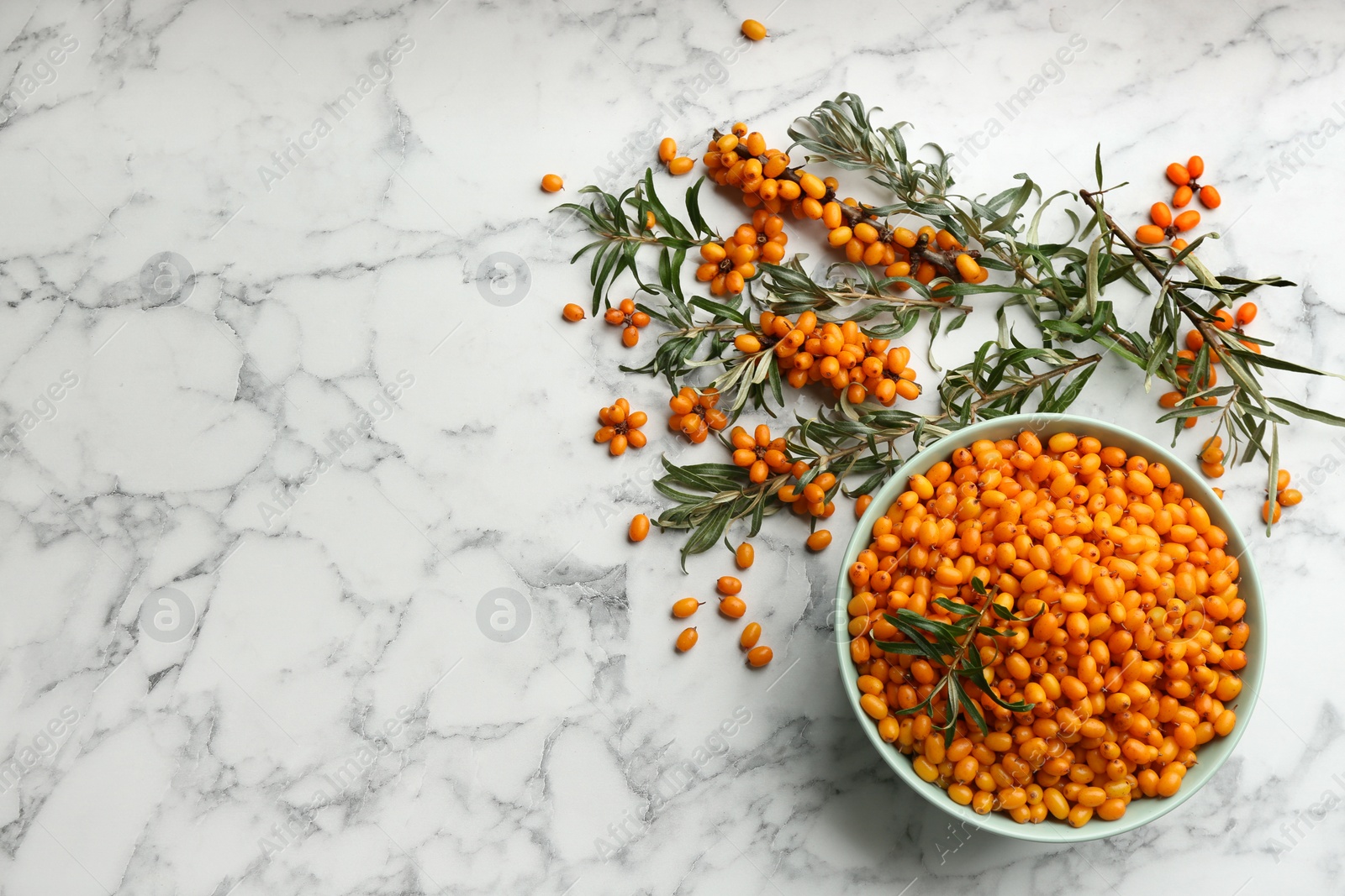 Photo of Ripe sea buckthorn berries on white marble table, flat lay. Space for text