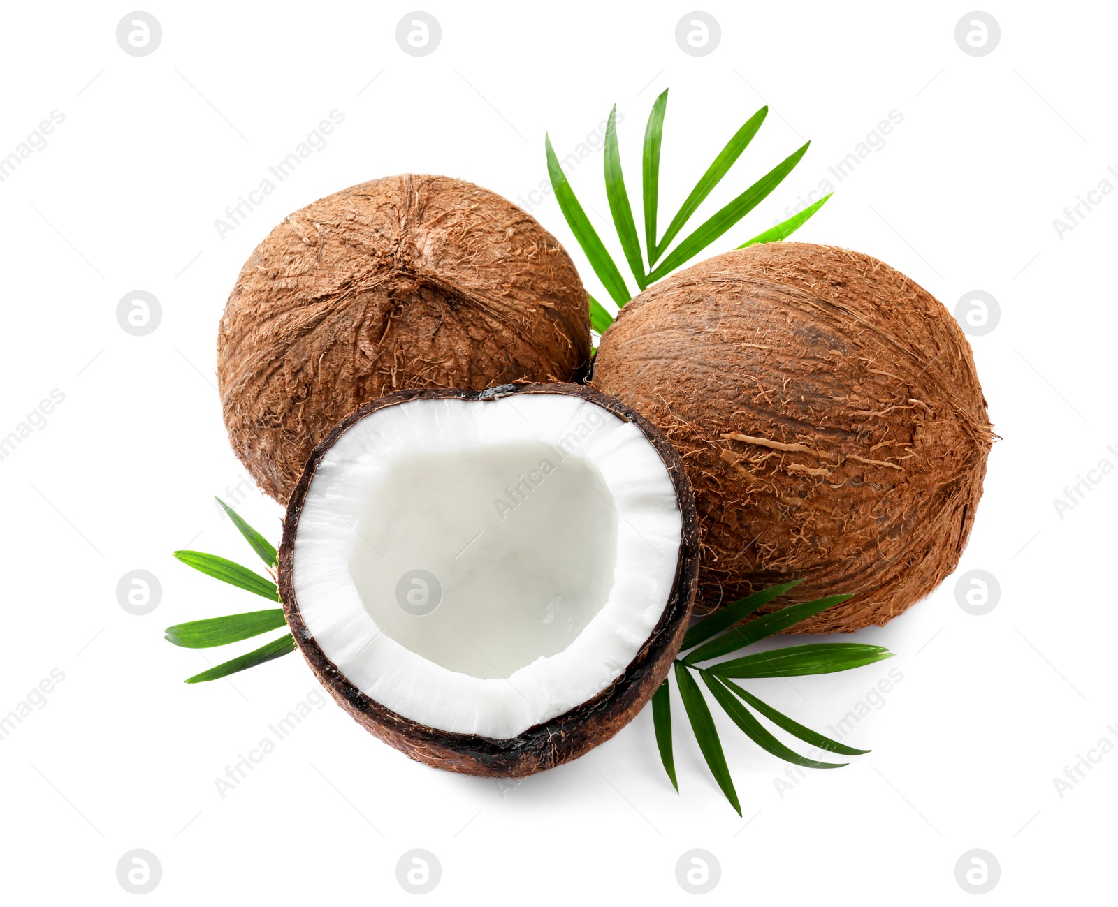 Photo of Fresh ripe coconuts with green leaves on white background