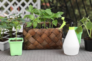 Photo of Vegetable seedlings growing in plastic containers with soil and spray bottle on light gray table