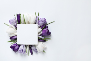 Photo of Beautiful spring crocus flowers and card on light background, top view with space for text
