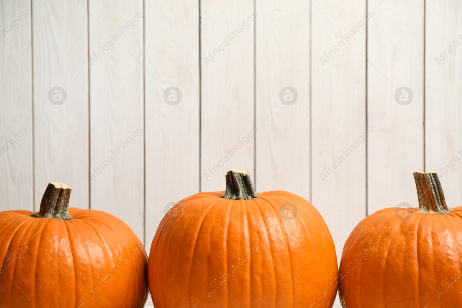 Photo of Ripe orange pumpkins against white wooden background. Space for text