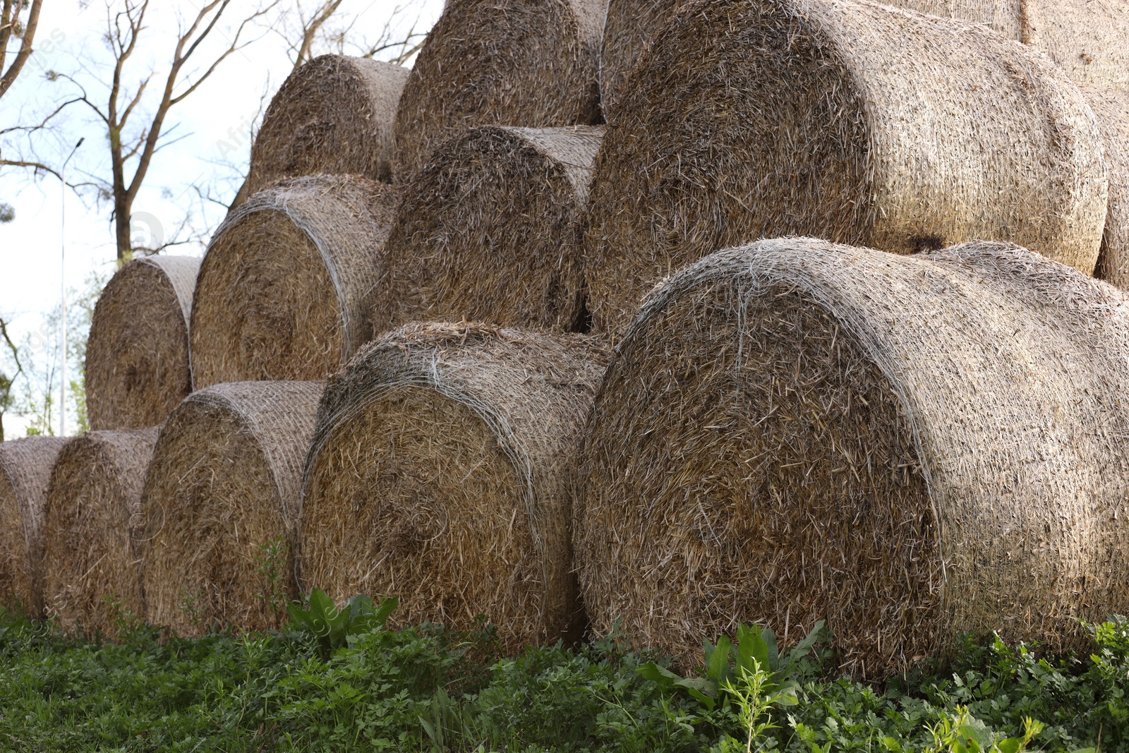 Photo of Many hay bales on green grass outdoors