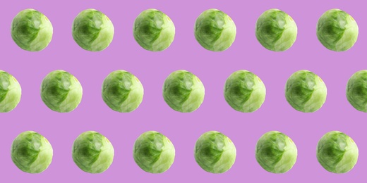 Image of Pattern design of fresh Brussels sprouts on violet background. Banner