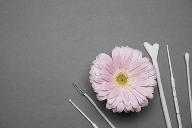Photo of Many gynecological tools and gerbera flower on grey background, flat lay. Space for text