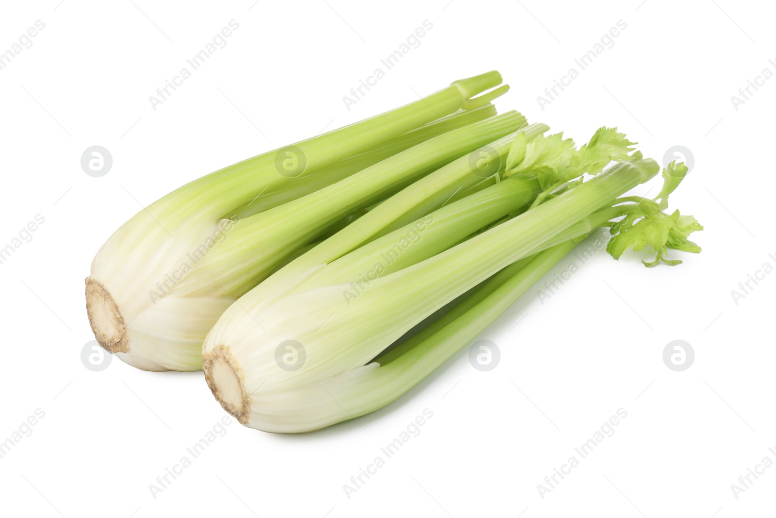 Photo of Fresh green celery bunches isolated on white