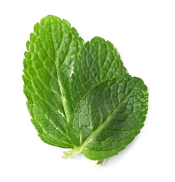 Wet leaves of fresh mint isolated on white