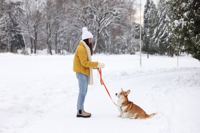 Photo of Woman with adorable Pembroke Welsh Corgi dog in snowy park