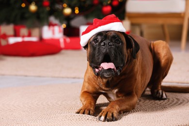Photo of Cute dog wearing small Santa hat at home. Space for text