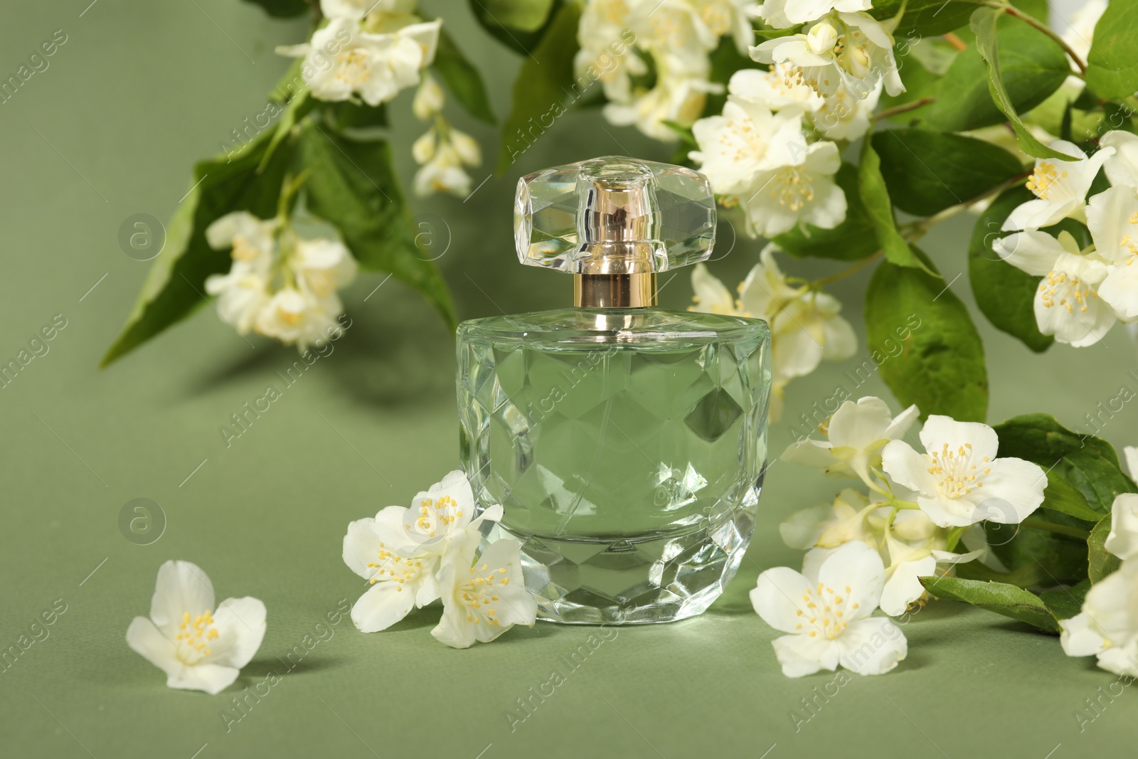 Photo of Aromatic perfume in bottle among beautiful jasmine flowers on pale green background