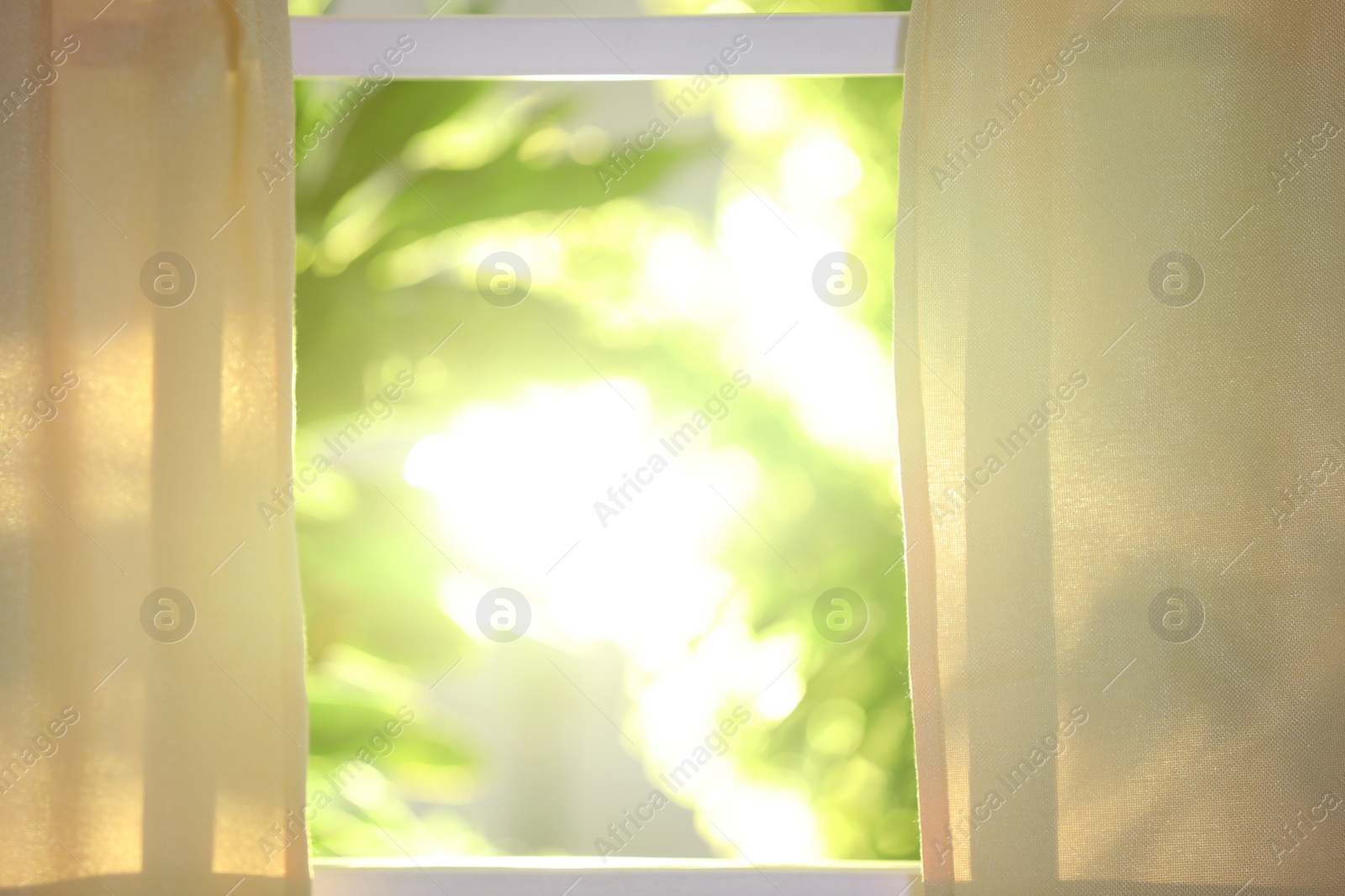 Photo of Beautiful view through window on garden in morning