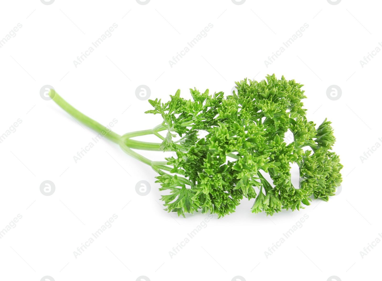 Photo of Fresh green organic parsley on white background