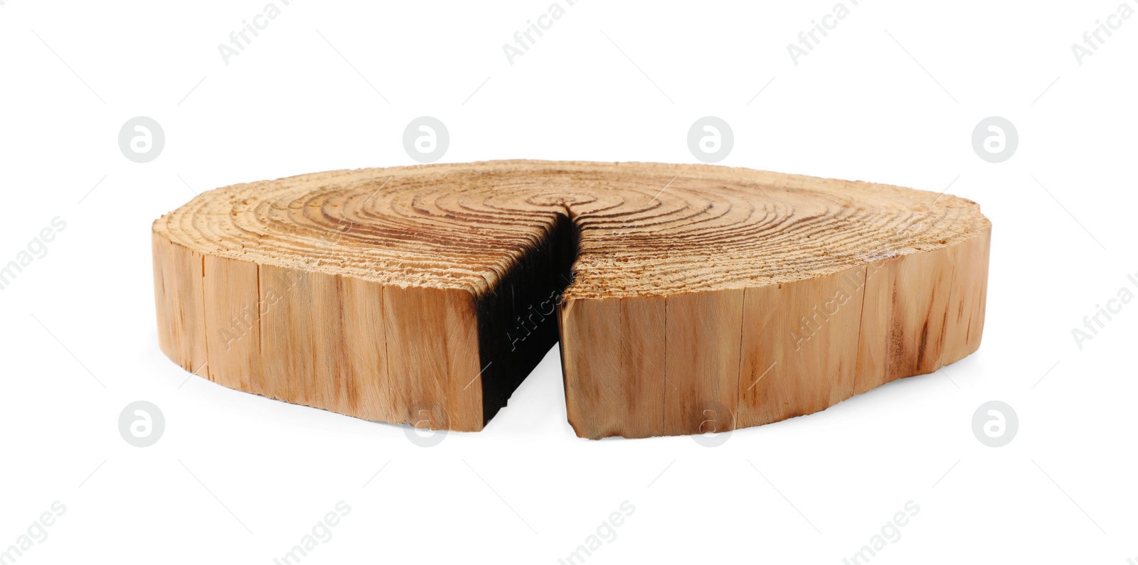 Photo of Cracked tree stump as decorative stand isolated on white
